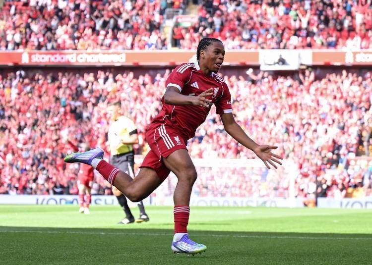 回声报：利物浦只会买能当主力的前锋，恩古莫哈被视为一线队成员